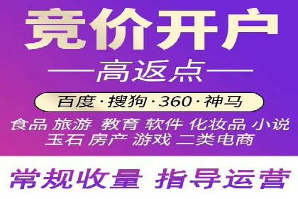 百度竞价代运营成功案例解析